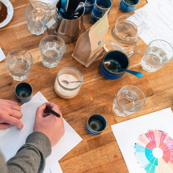 Mehrere Kaffeetassen und Wassergläser stehen um eine Kaffeepackung mit Blaue Bohne Logo, daneben ein buntes Flavor Wheel und eine Hand, die Notizen macht